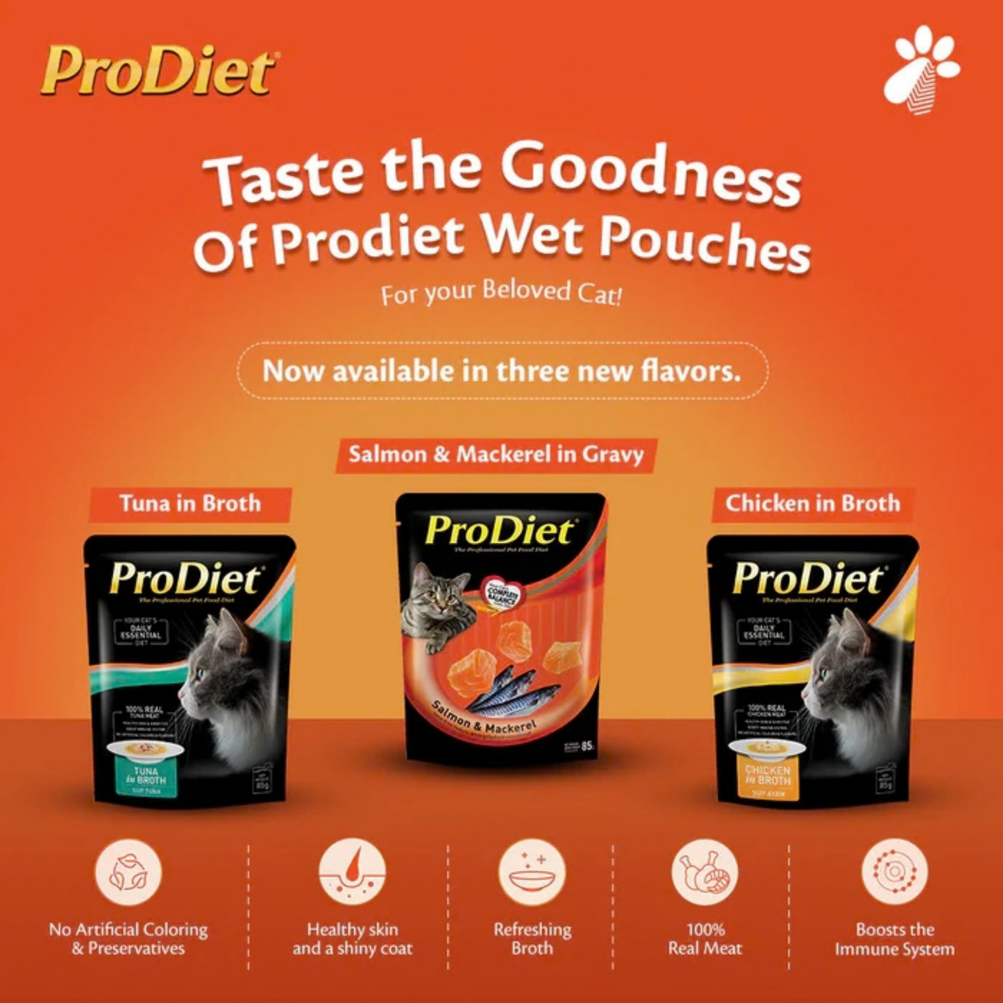 ProDiet Pouch Chicken in Broth Wet Pouch for Cats - Rufftail