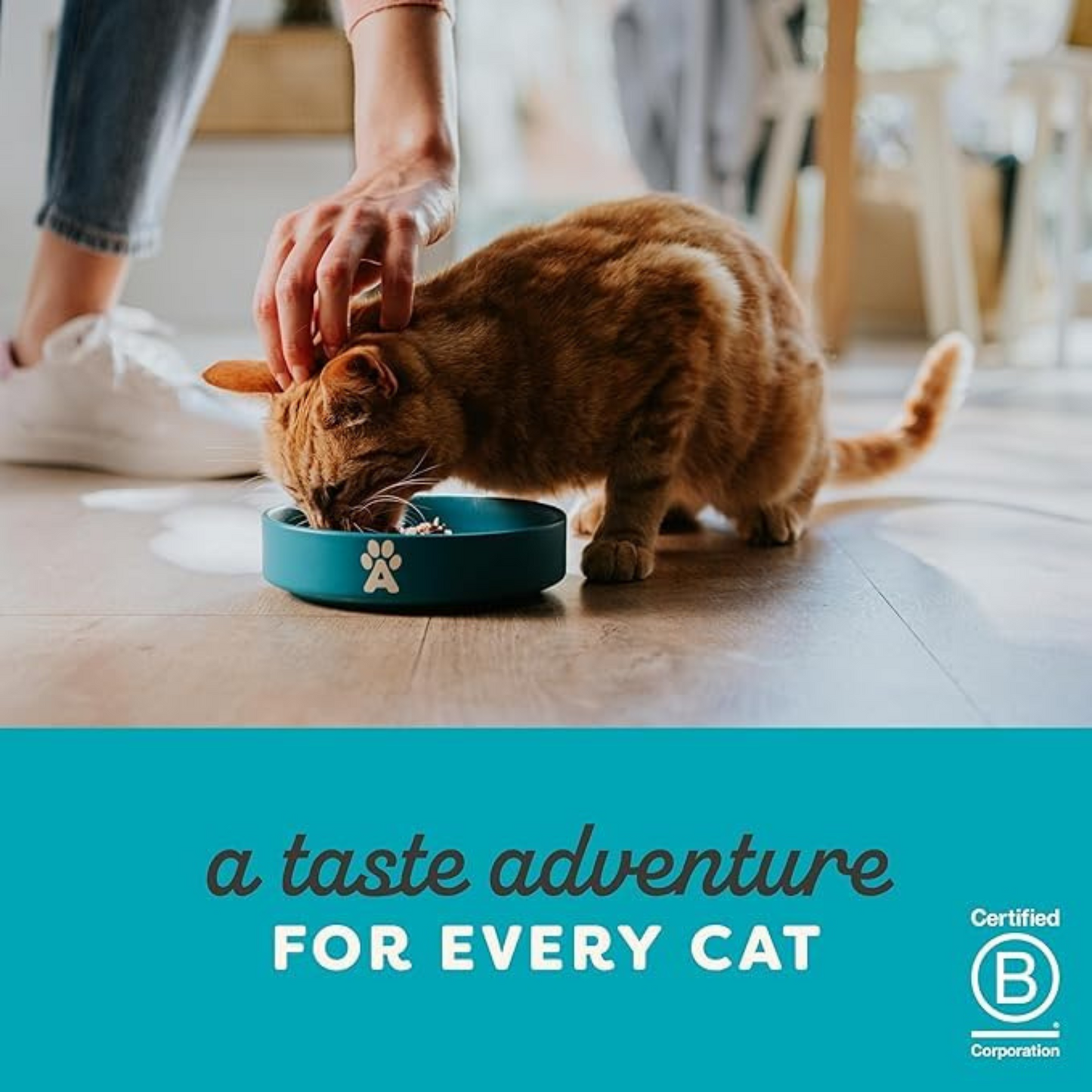 Applaws Chicken Breast in Broth - Natural Cat Wet Food (24 x 70g) - Rufftail