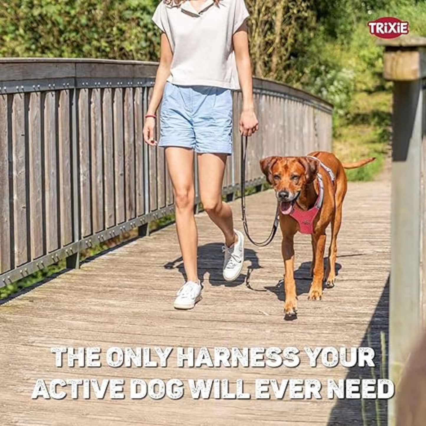 Trixie Premium Active Dog Harness - Red