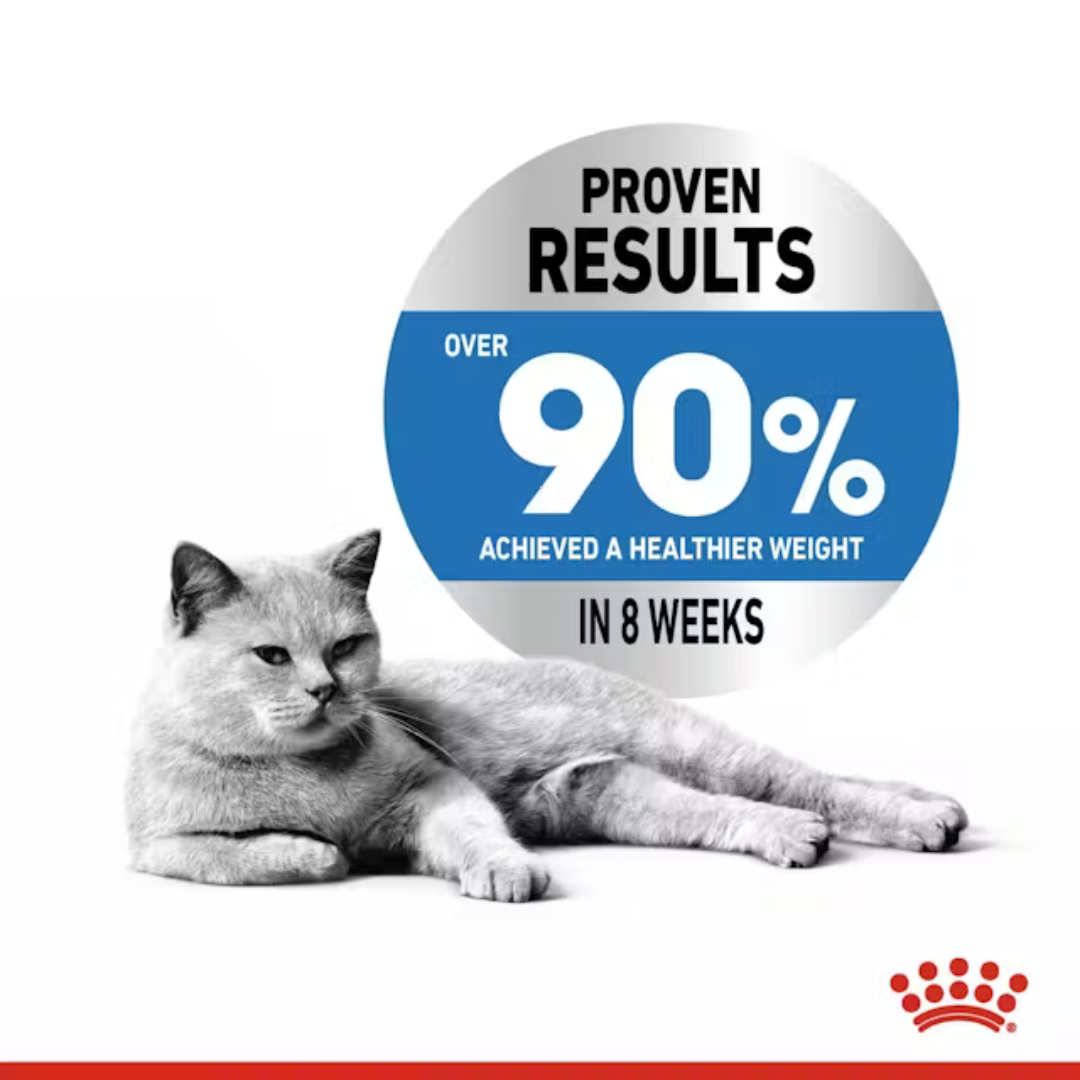 Royal Canin Light Weight Care Gravy Wet Food For Adult Cats (12x85 g) - Rufftail