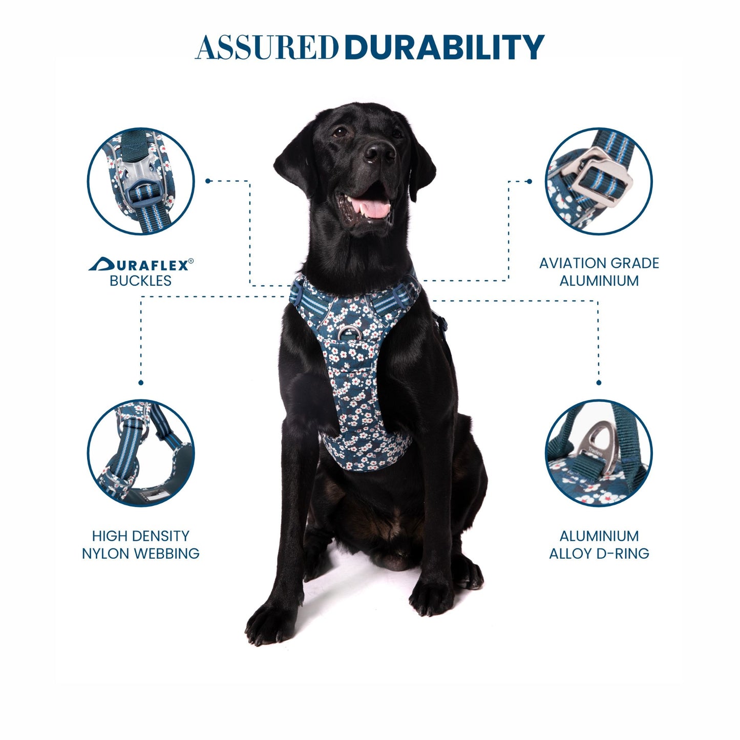 TRUELOVE Floral No Pull Pet Harness For Dogs - Rufftail