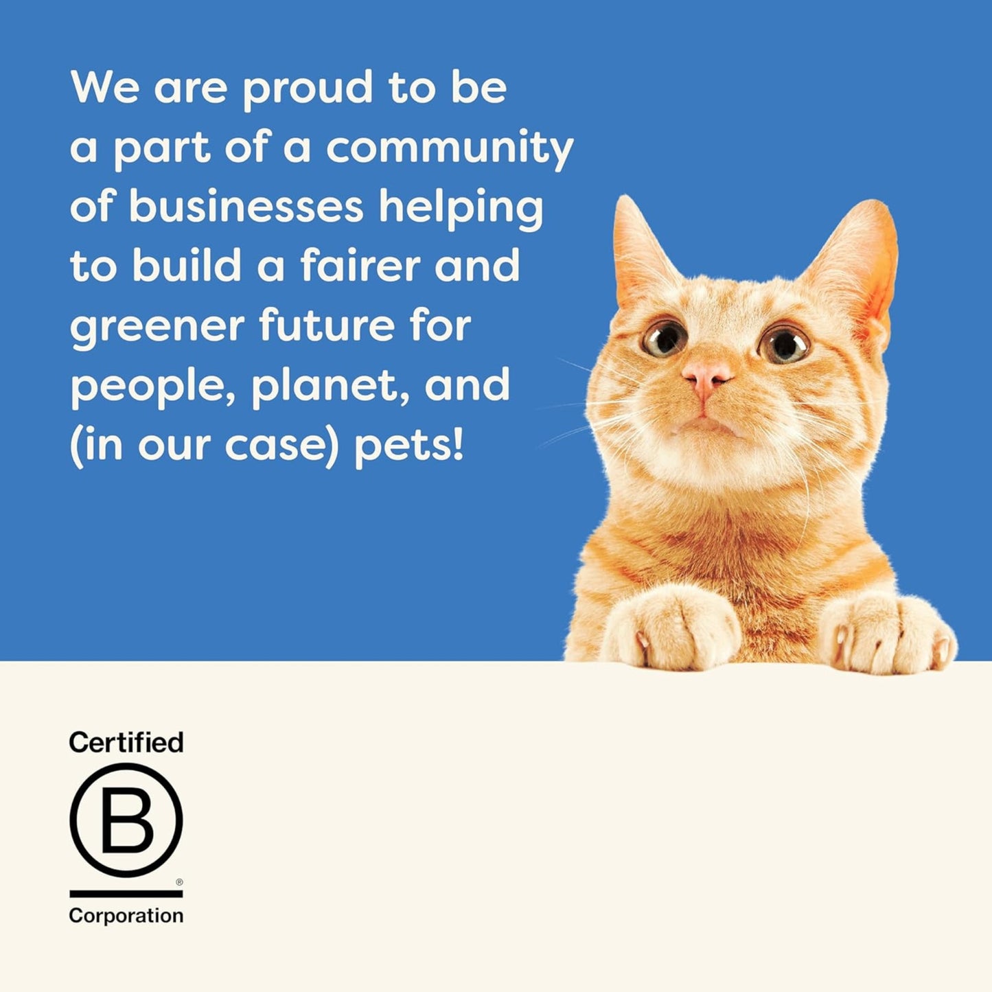 Applaws Mackerel with Sardine in Broth - Cat Wet Food Can (24 x 70g) - Rufftail