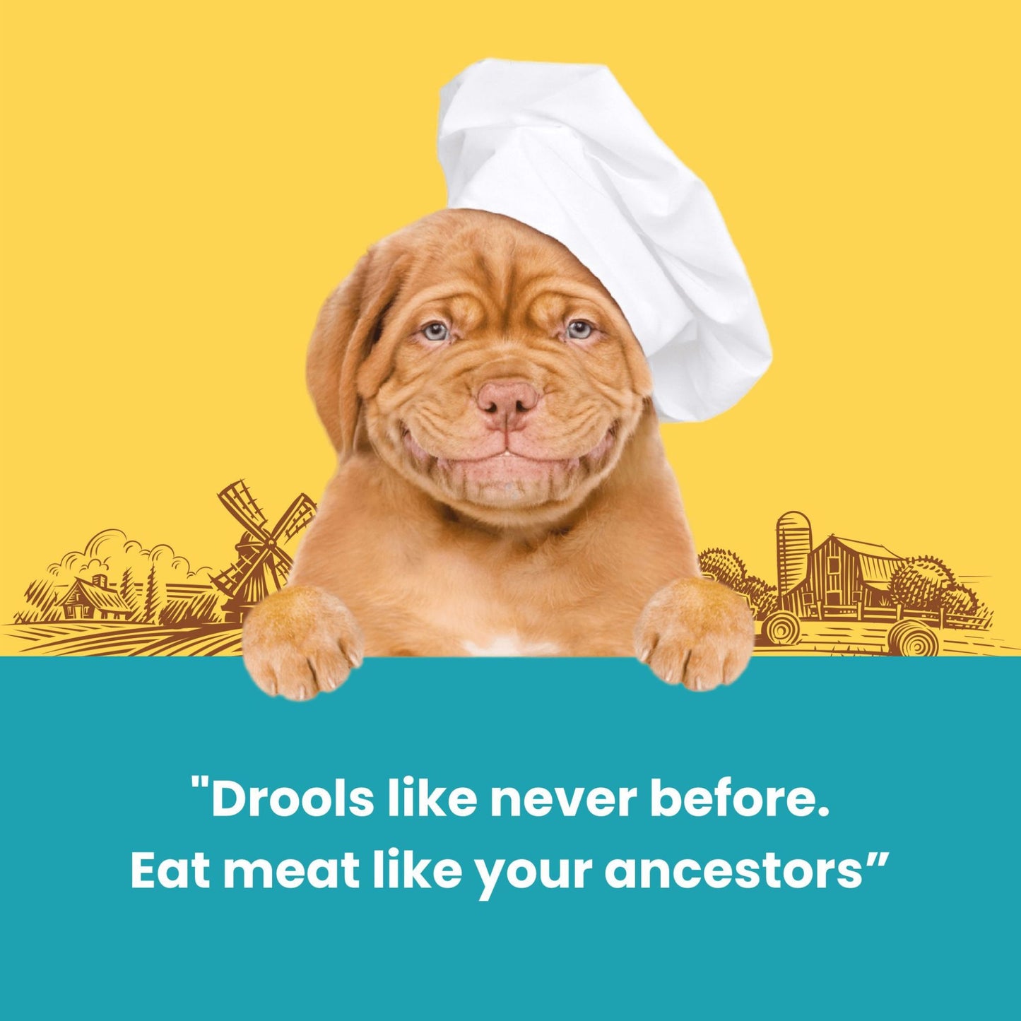 Dogfest Duck fillets Treats - Healthy & Natural Dog Treat - Rufftail