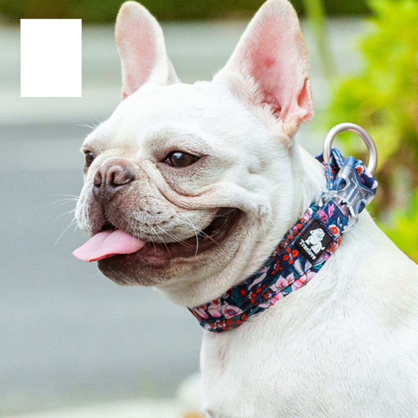 TRUELOVE Floral Collar For Dogs - Stylish, Durable & Comfortable Navy Blazer - Rufftail