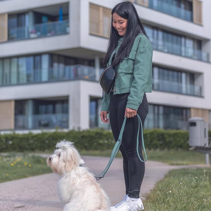 TRIXIE CityStyle PVC Leash For Dogs - Sage - Rufftail