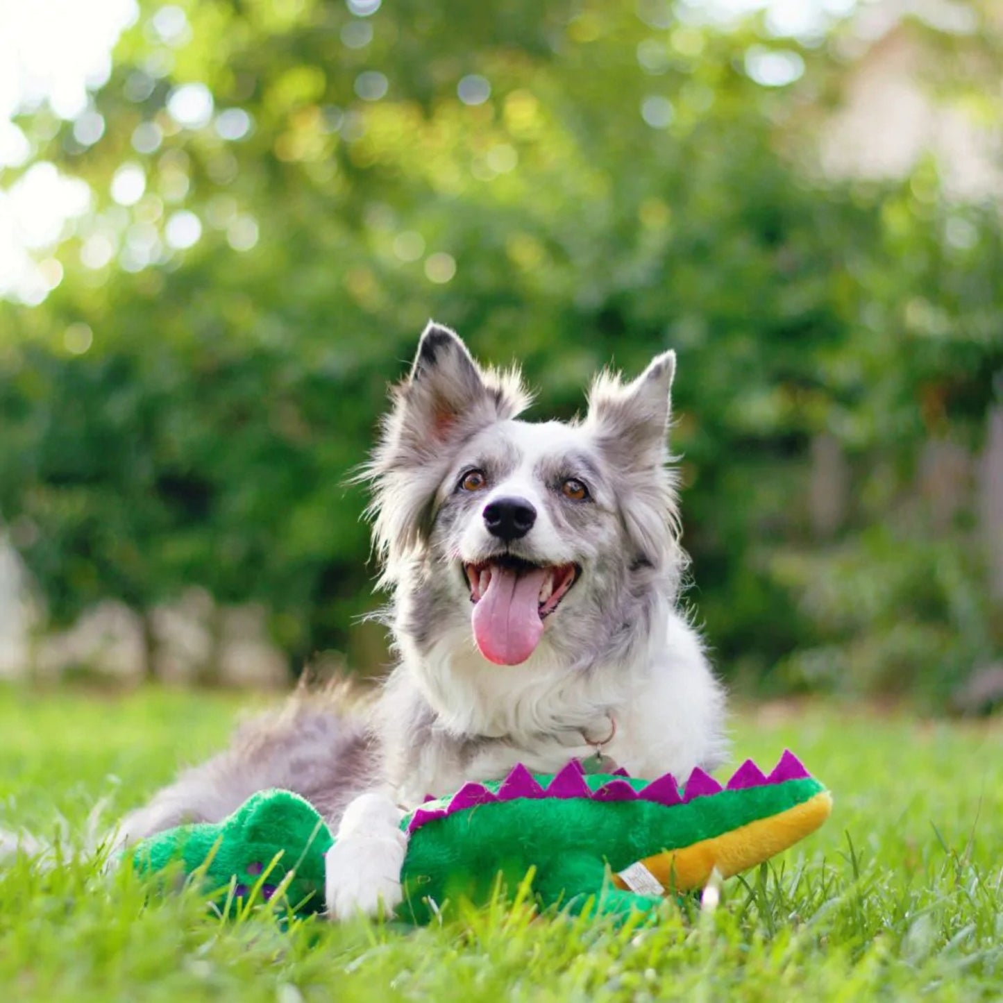 Fofos Zippy Paws Grunterz Alvin the Alligator - Squeaky Plush Large Dog Toy - Rufftail