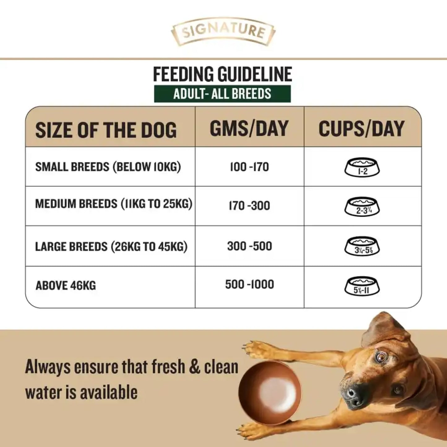 Grain Zero Adult Chicken Chunks Gravy Wet Dog Food 70 Gram - Rufftail