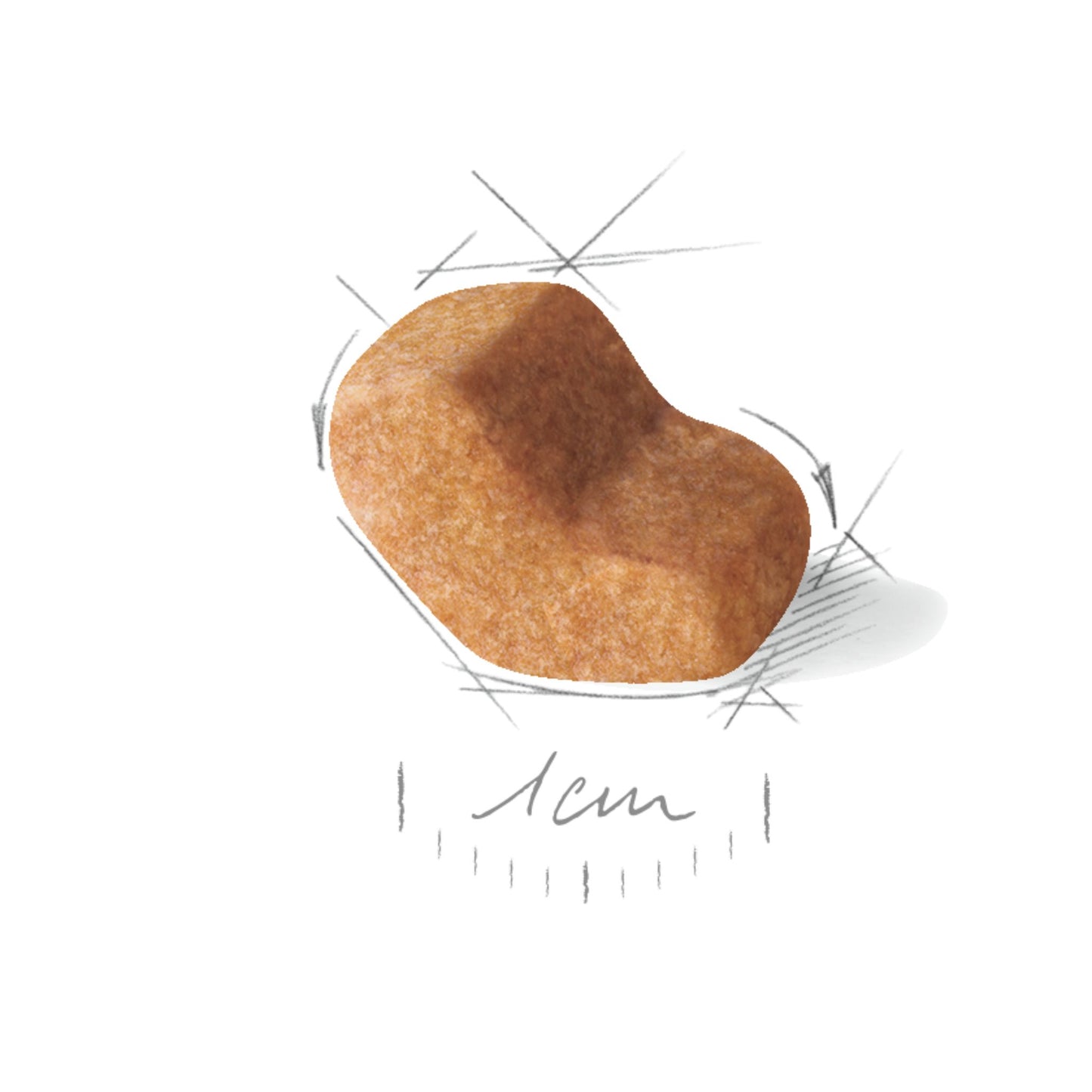 Royal Canin Dry Shih Tzu Adult Complete Feed For Dogs - Rufftail