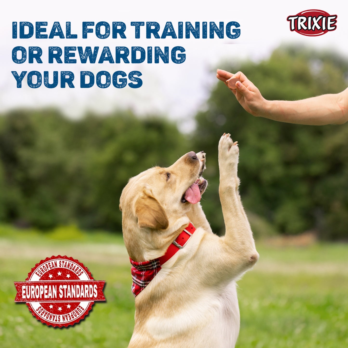 Trixie Dog Treats PREMIO Duck Coins 80g - Rufftail