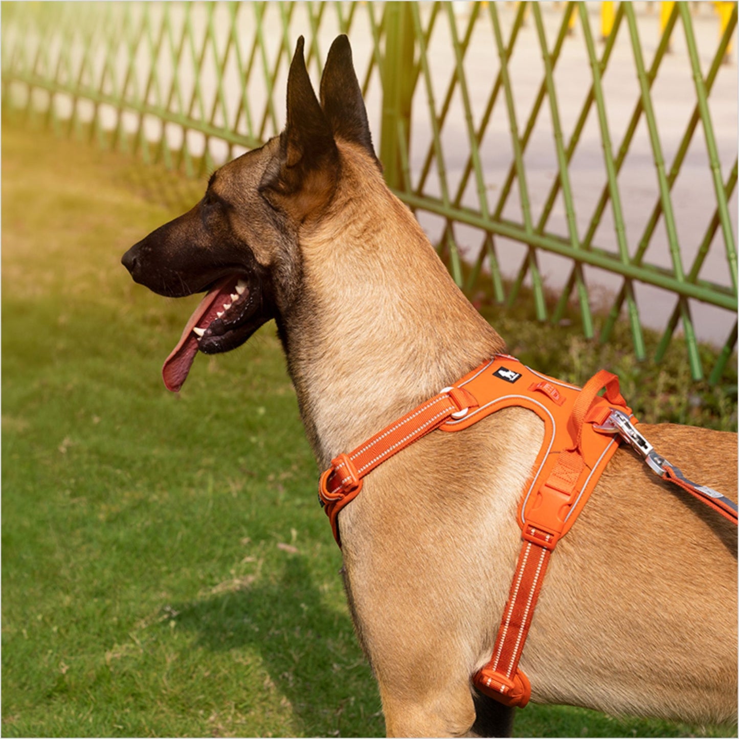 Truelove No-Pull Cordura Dog Harness - Durable - Black - Rufftail