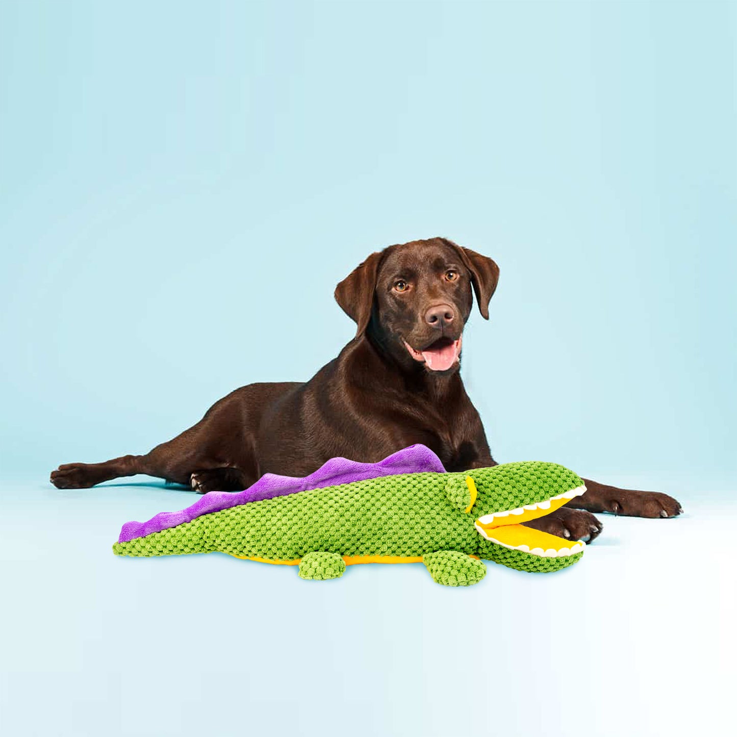 Barkbutler Aly The Gator For Dogs - Rufftail