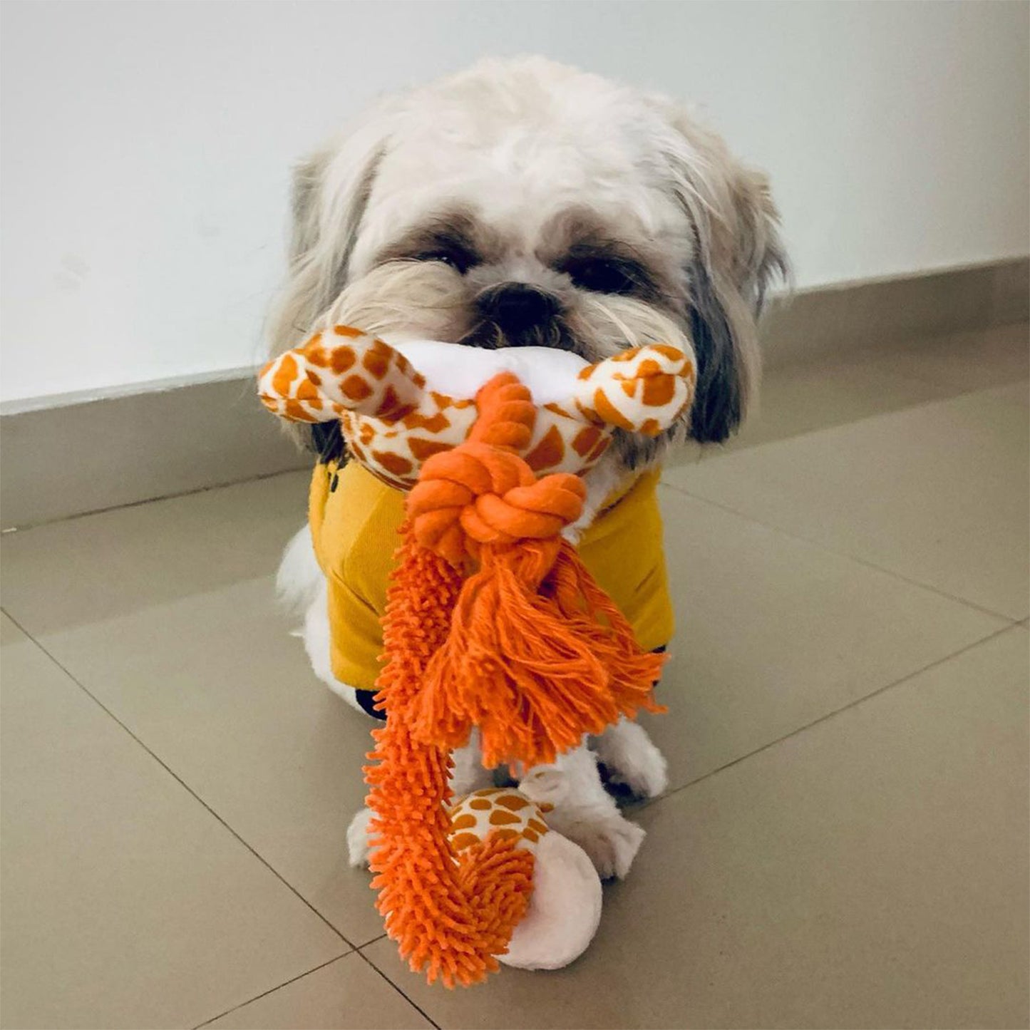 Barkbutler Garry The Giraffe For Dogs - Rufftail