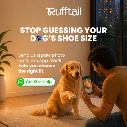 WhatsApp size help