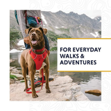 Ruffwear Front Range Collar for Dogs - Twilight Gray