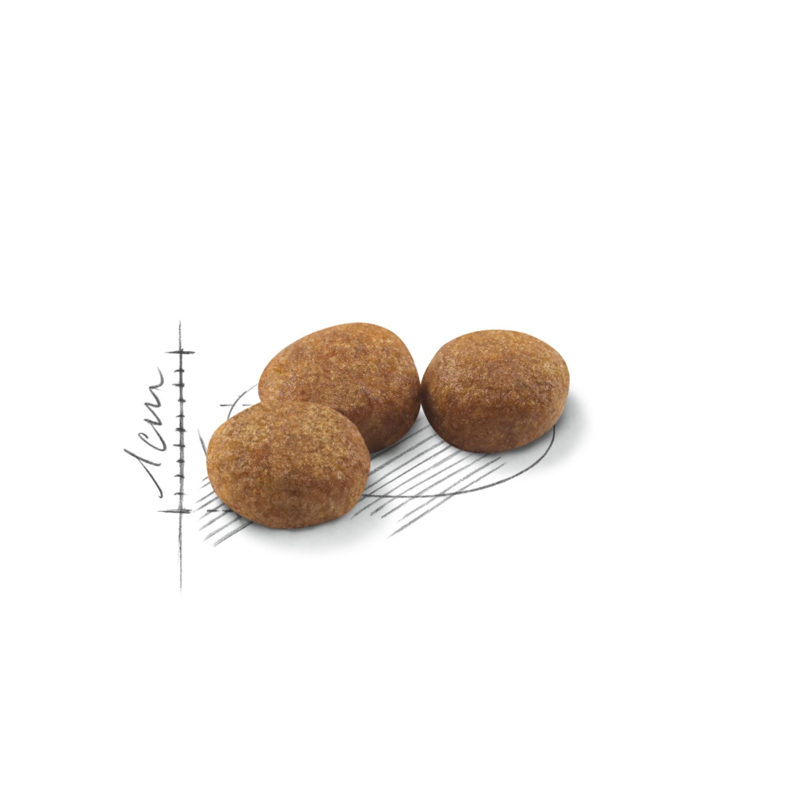 Royal Canin Regular Sterilised 37 Dry Cat Food (2kg) product image 10 - Rufftail Pune