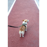 M-Pets HIKING Harness Camouflage for Dogs product image 10 - Rufftail Pune