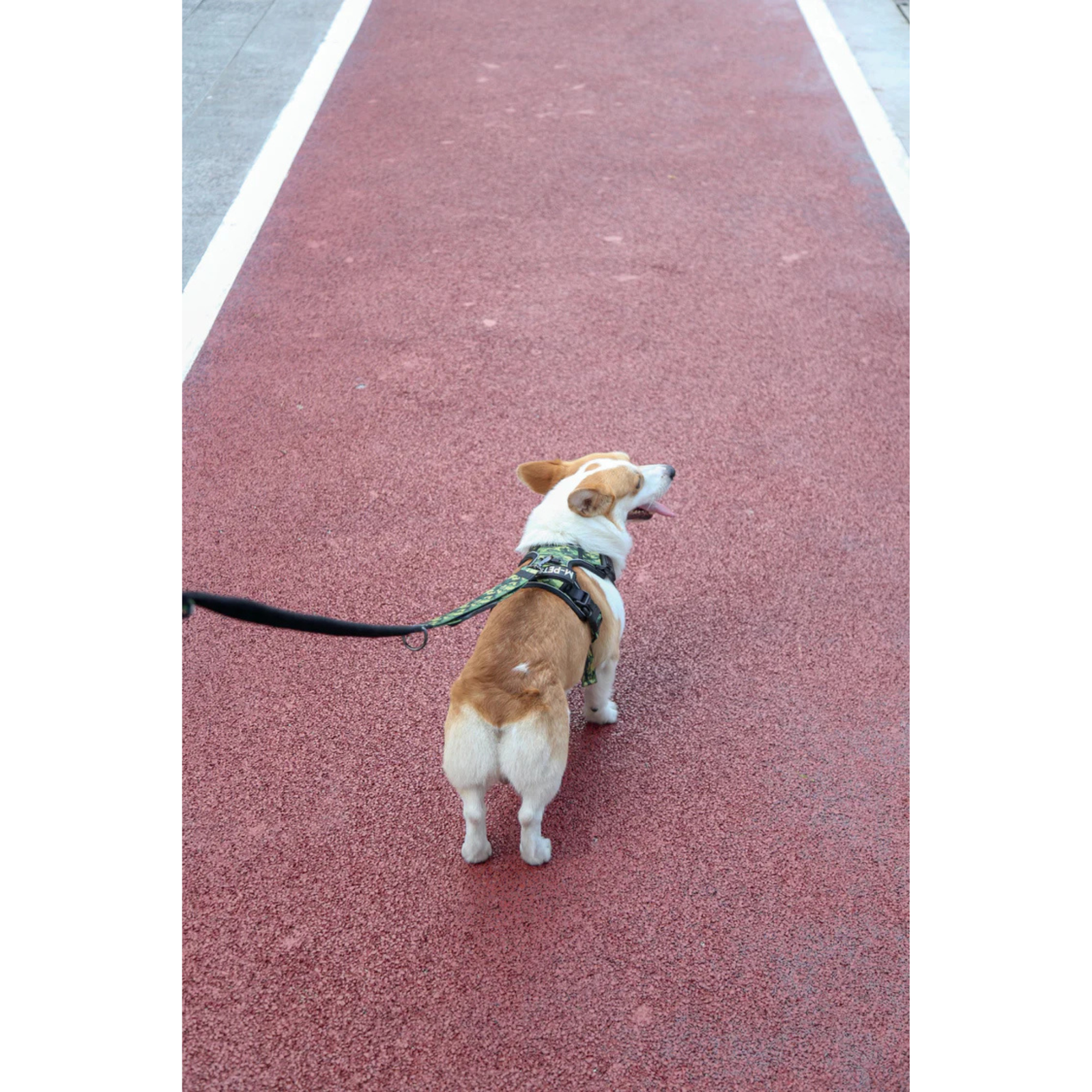 M-Pets HIKING Harness Camouflage for Dogs product image 10 - Rufftail Pune