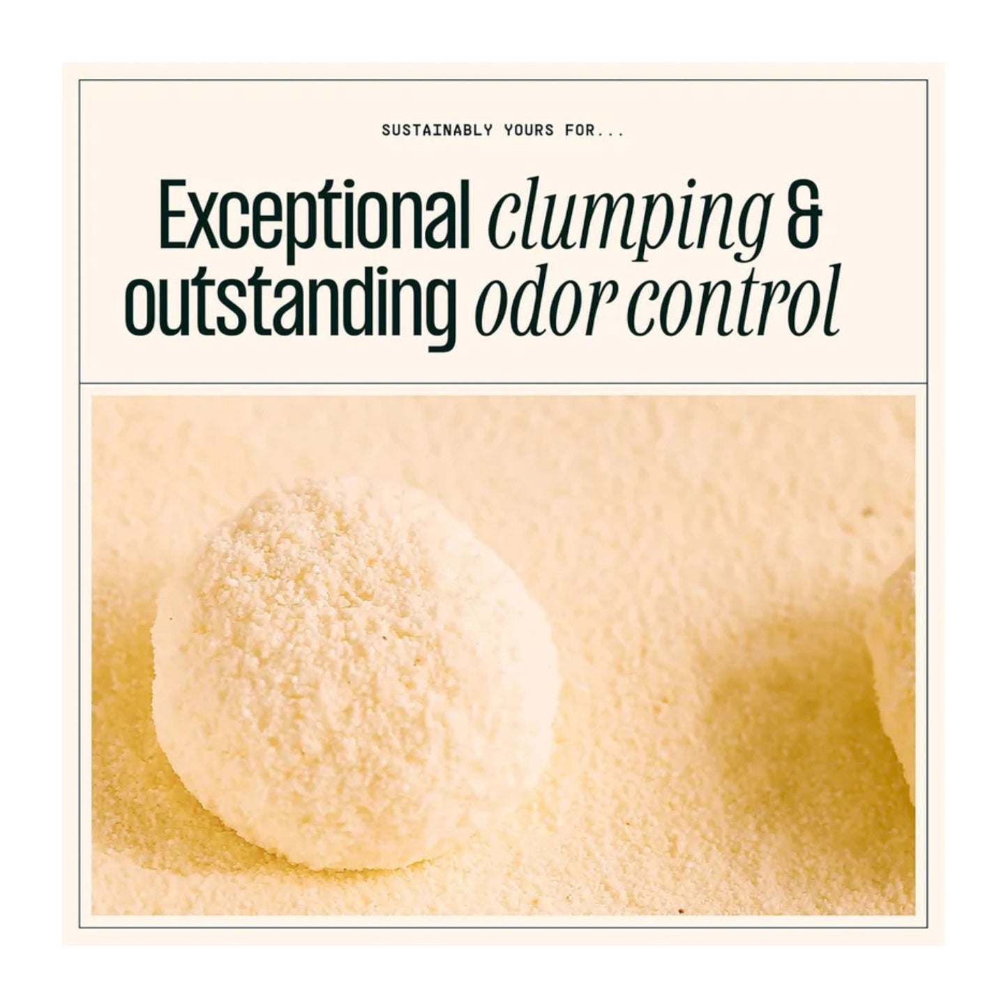 Sustainably Yours Small Grain Cat Litter - Rufftail