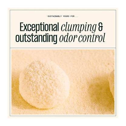 Sustainably Yours Small Grain Cat Litter - Rufftail