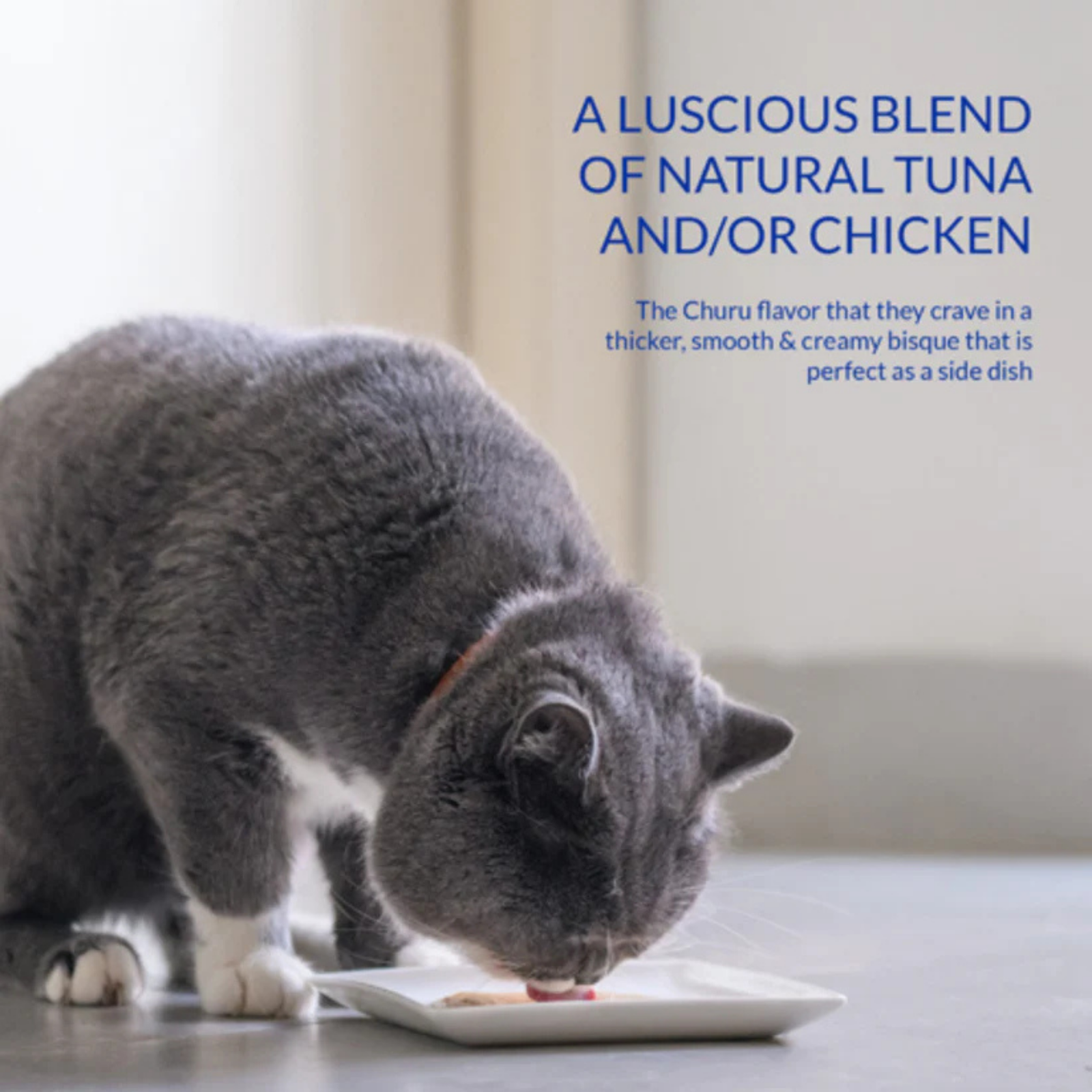 Inaba Churu Bisque Tuna with Salmon Cat Treat - Rufftail