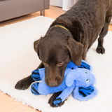 KONG JUNGLE JAMZ Elephant DOG TOY- Med/Large product image 5 - Rufftail Pune