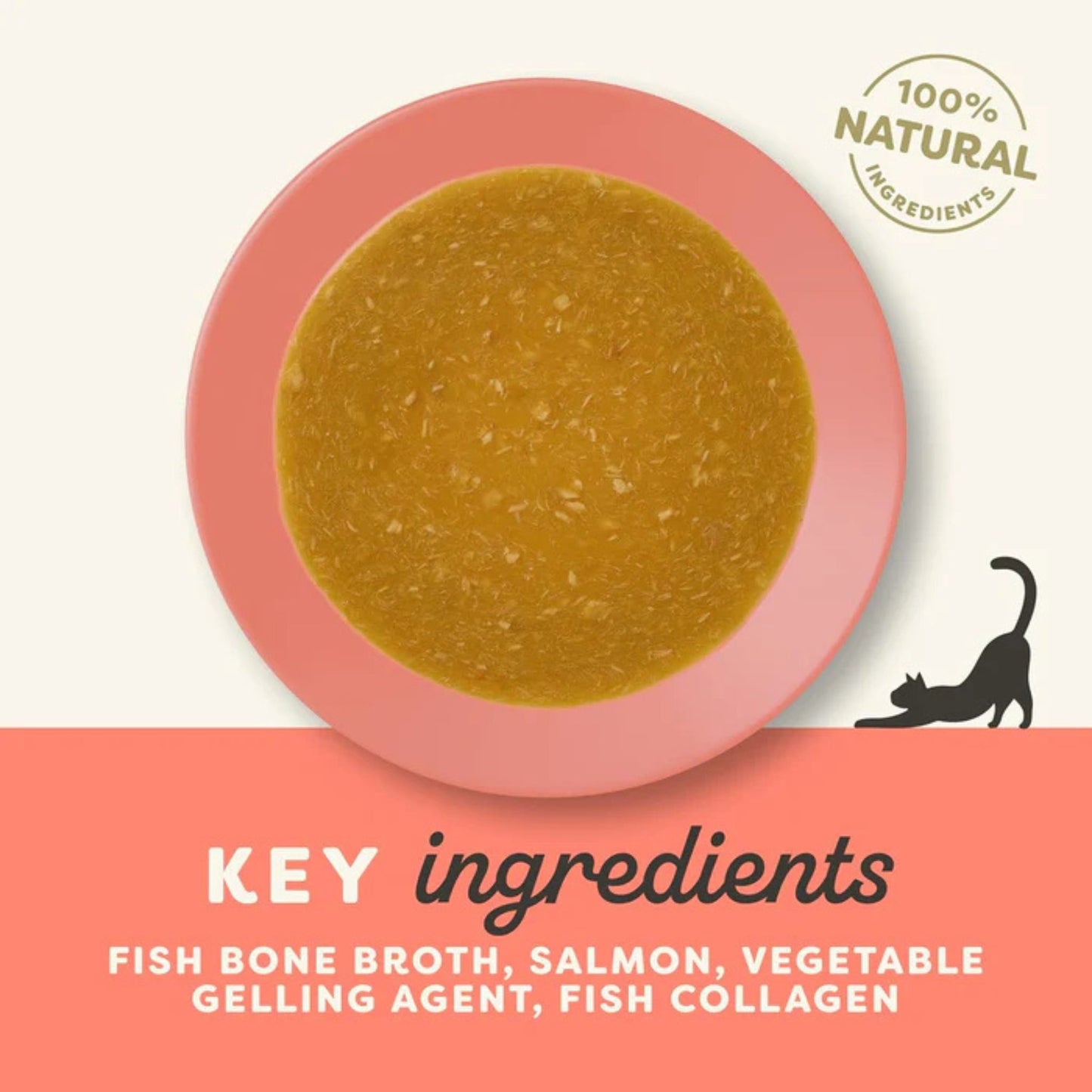 Applaws Fish Bone Broth with Salmon Topper for Cats (85g)