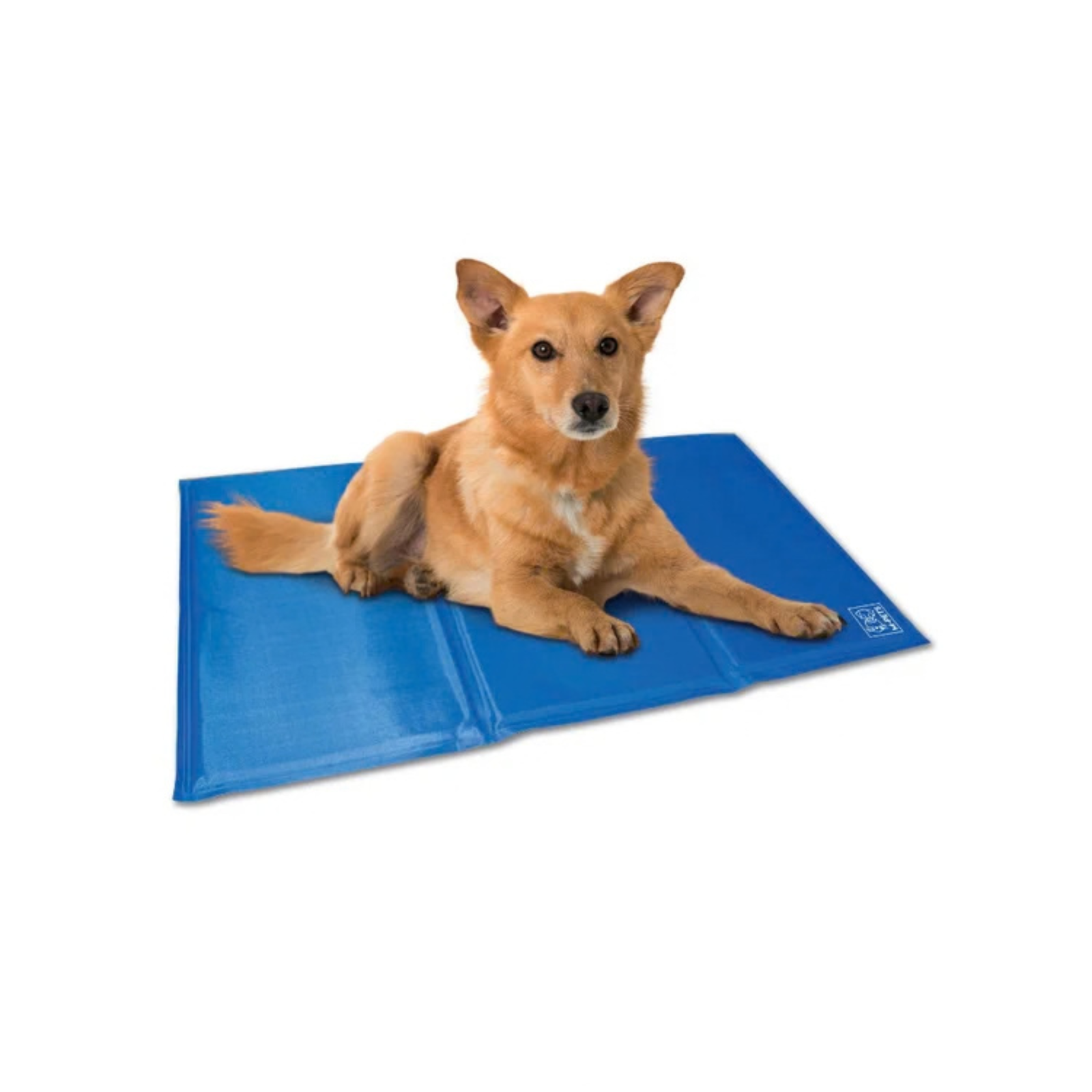 M-Pets Frozen Cooling Mat for Dogs - Rufftail Pune