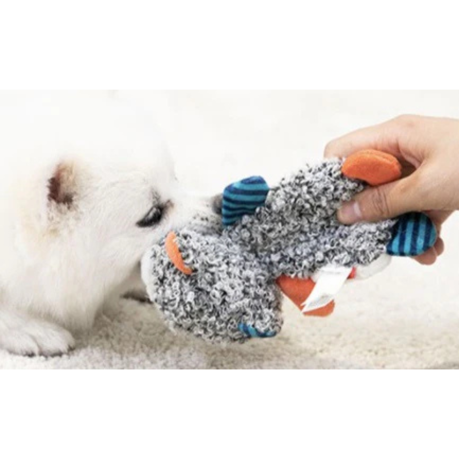 Gigwi Suppa Puppa Racoon Puppy Toy - Soft Plush with Squeaker & Crinkle Sounds - Rufftail