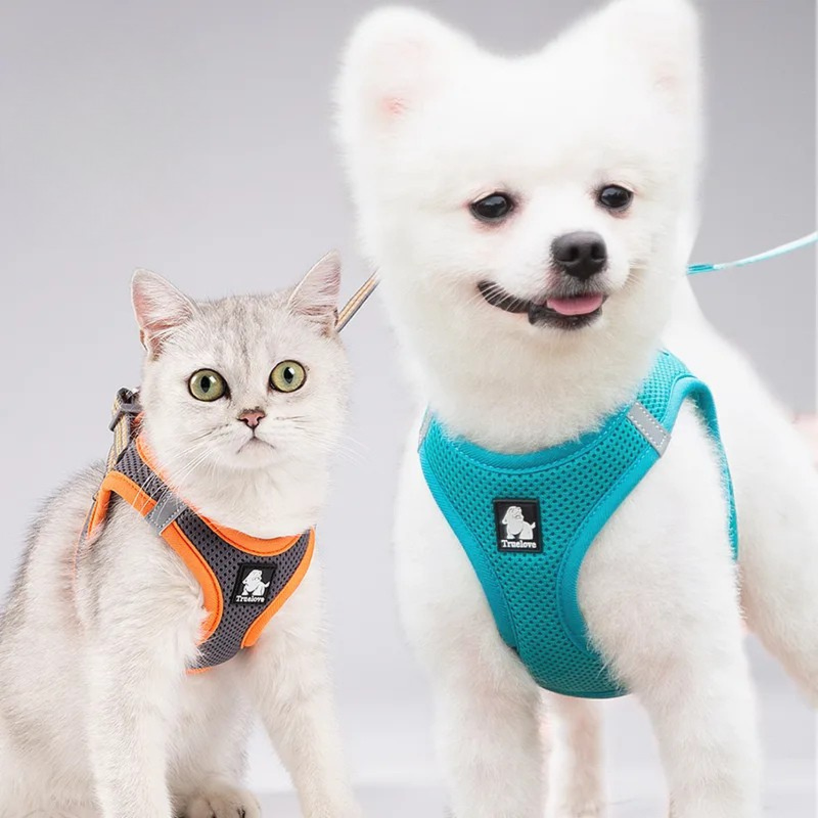 TRUELOVE Mesh Harness & Leash Set For Cats & Dogs - Red