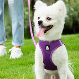 TRUELOVE Mesh Harness & Leash Set For Cats & Dogs - Red