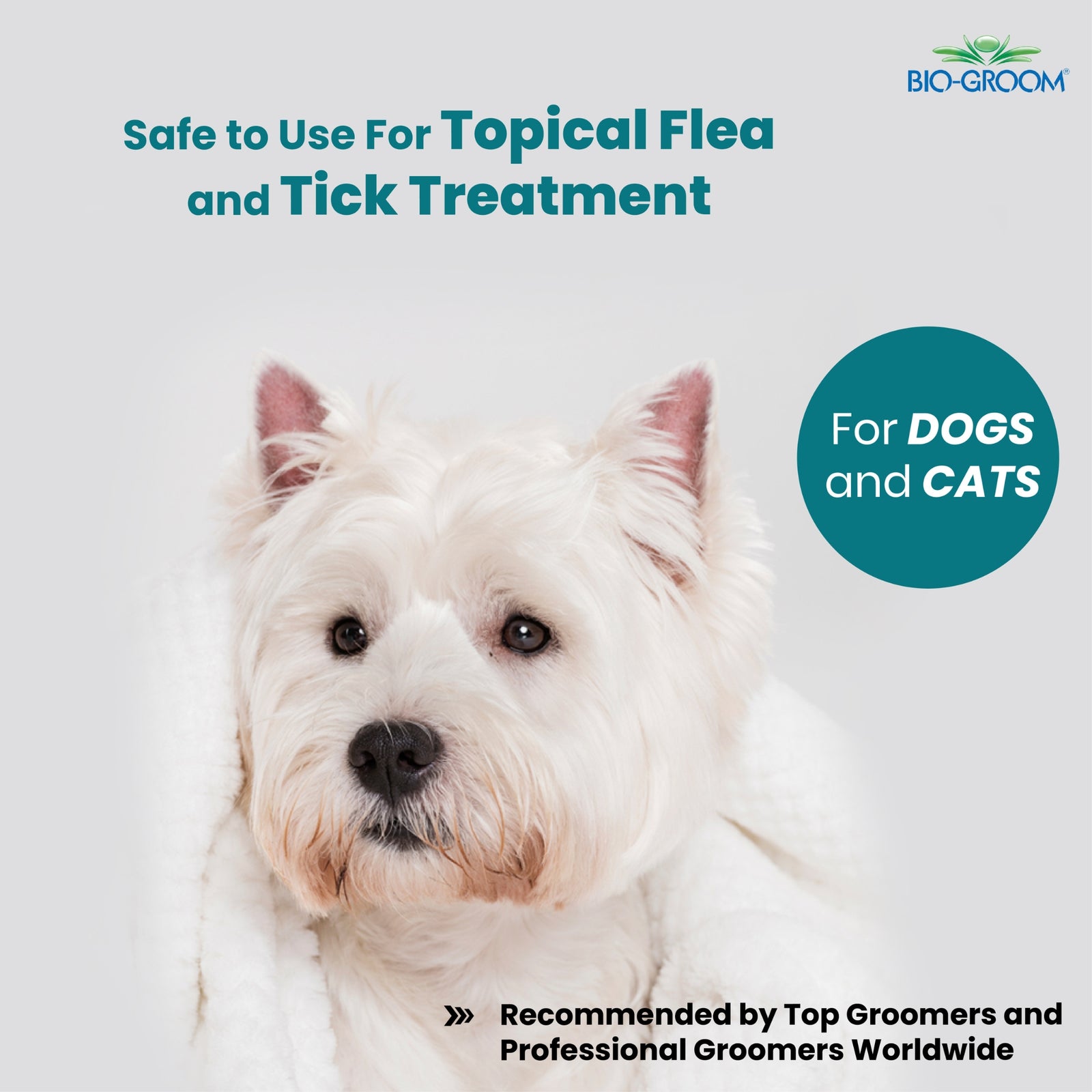 Bio-Groom Waterless Bath No Rinse Tear Free Shampoo for Dogs- 473 ml product image 3 - Rufftail Pune