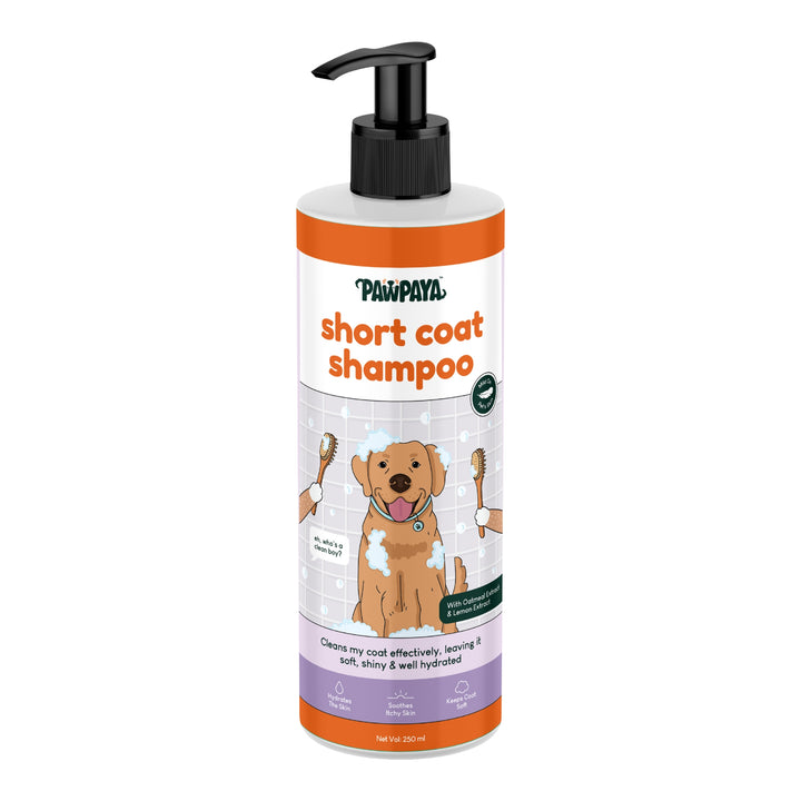 Pawpaya Short Coat Pet Shampoo- 250ml - Rufftail Pune