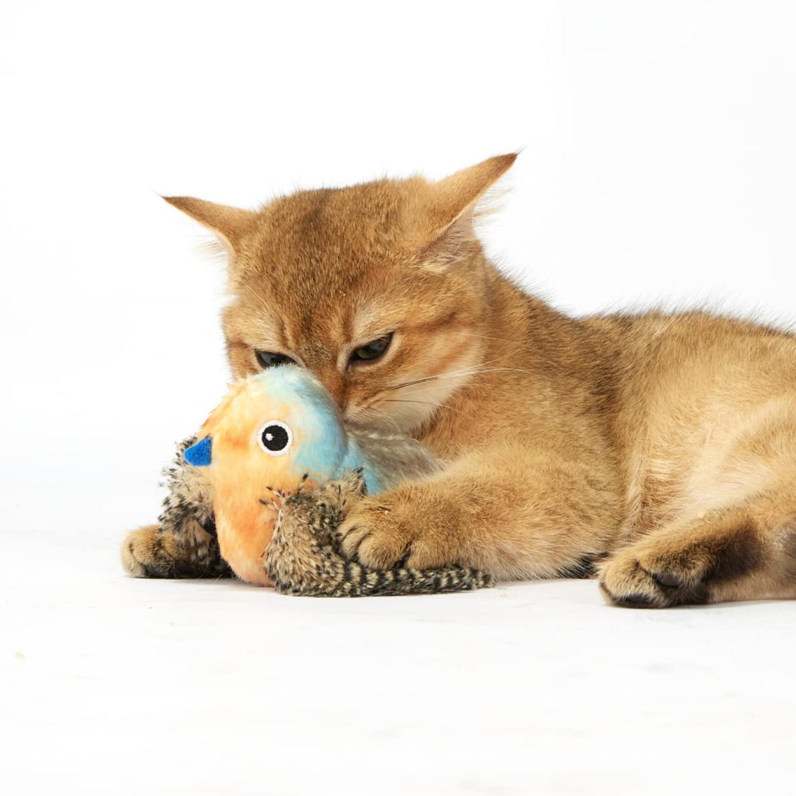 Fofos Blue Bird with Catnip Balls Cat Toy- Blue product image 6 - Rufftail Pune