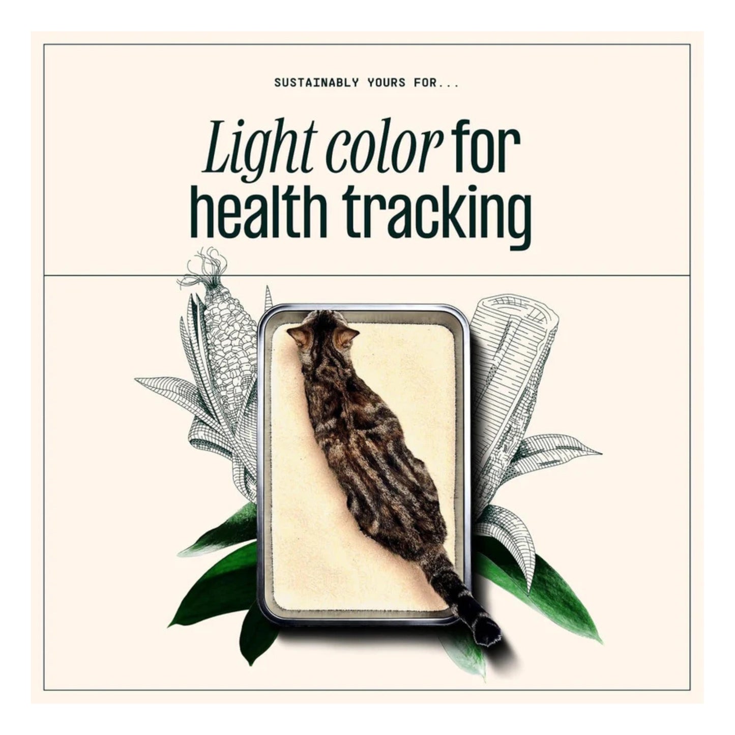 Sustainably Yours Small Grain Cat Litter - Rufftail