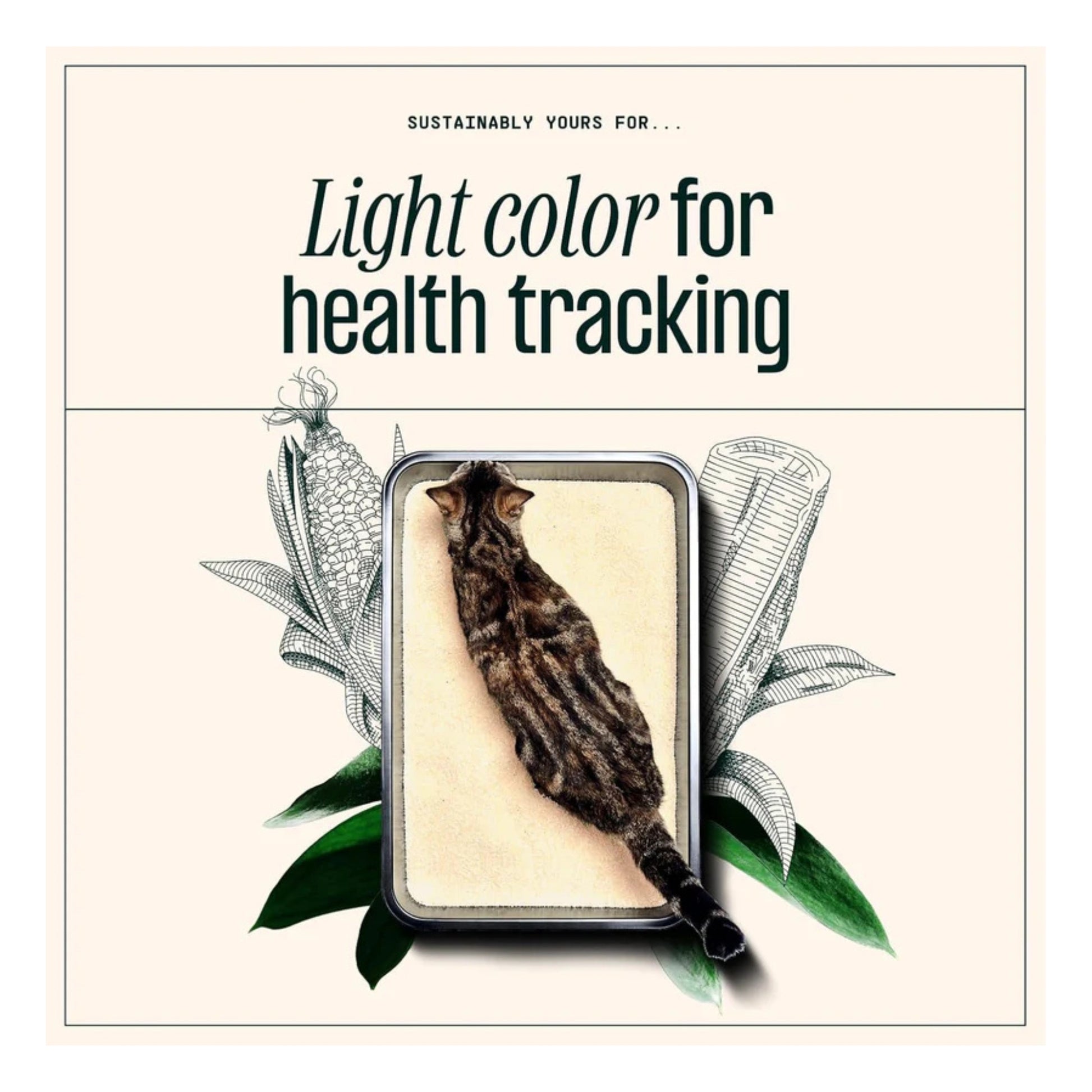 Sustainably Yours Small Grain Cat Litter - Rufftail