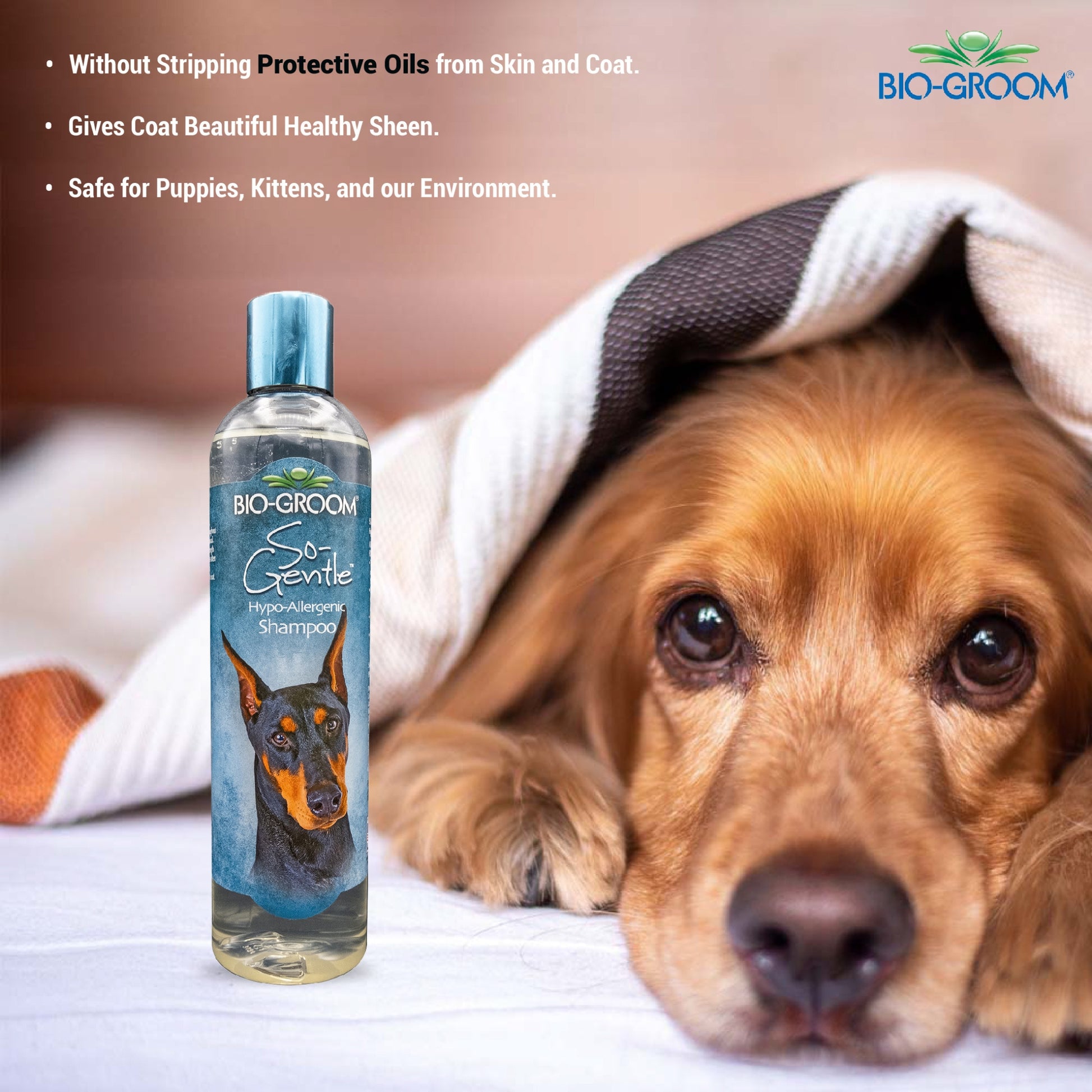 Bio-Groom So Gentle Hypo-Allergenic Tear-Free Shampoo for Dogs (355 ML) - Rufftail