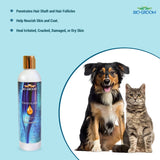 Bio-Groom Indulge Sulfate-Free Argan Oil Dog Shampoo- 355 ml product image 3 - Rufftail Pune