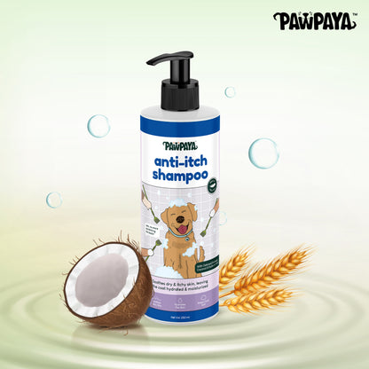 Pawpaya Pawpaya Anti-Itch Shampoo - 250 ml - Rufftail