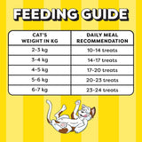 Temptations Crunchy Cat Treats - Tasty Chicken Flavour (85g)