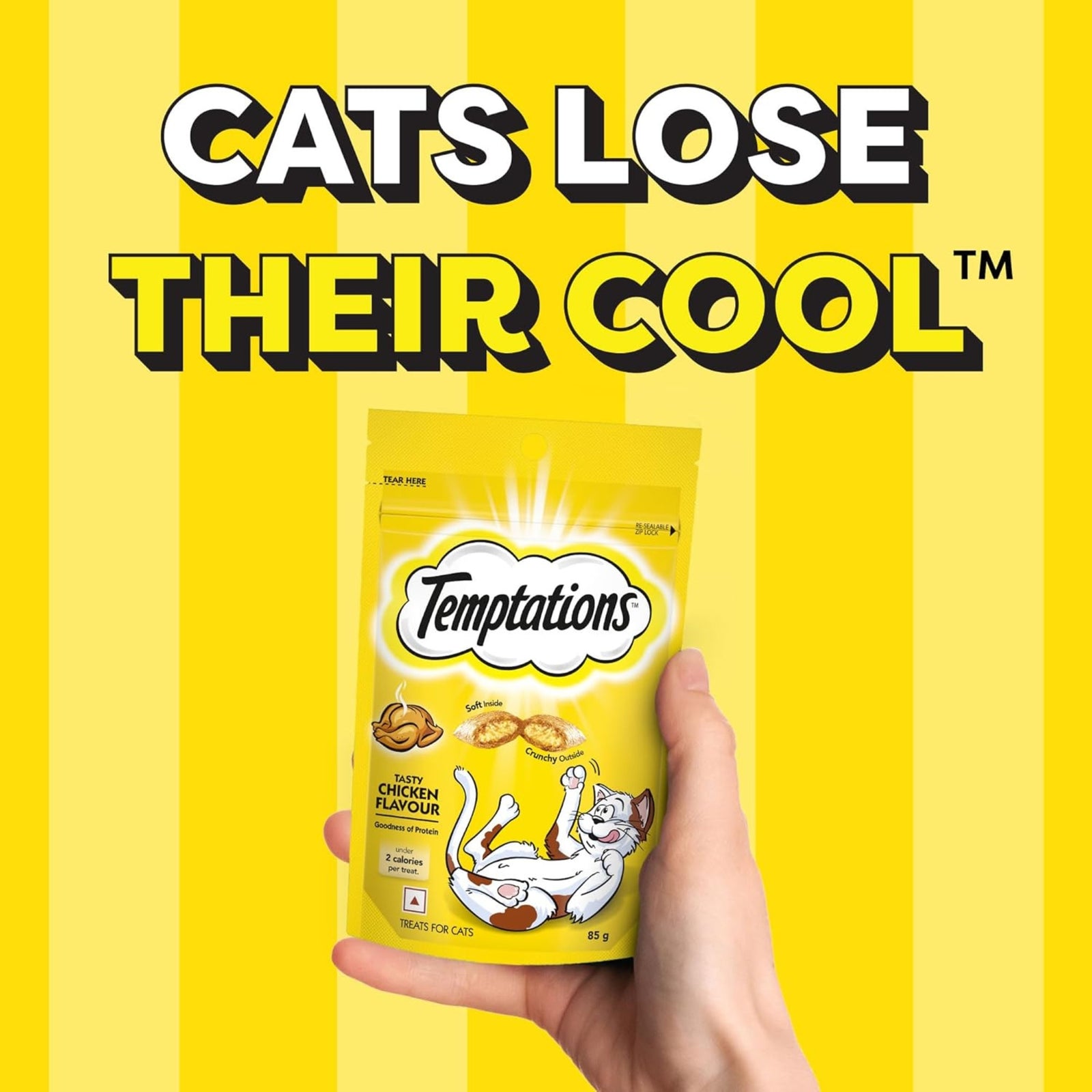 Temptations Crunchy Cat Treats - Tasty Chicken Flavour (85g)