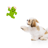 Cactus Man – Squeaky Latex Toy for Medium Dogs (0–20kgs) – Green