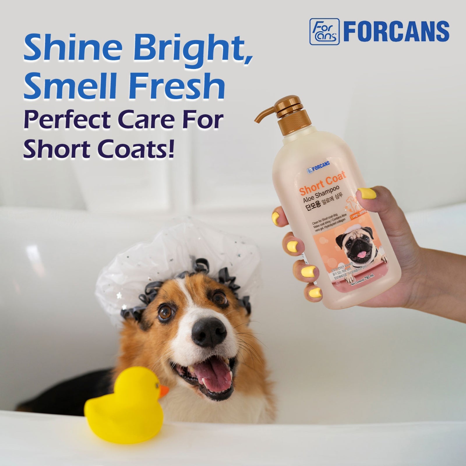 Forcans Short Coat Aloe Dog Shampoo - 750 ml - Rufftail