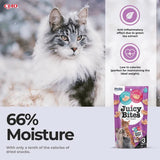 Inaba Juicy Bites Shrimp & Seafood Mix Flavor Cat Treat (33.9 g) product image 6 - Rufftail Pune