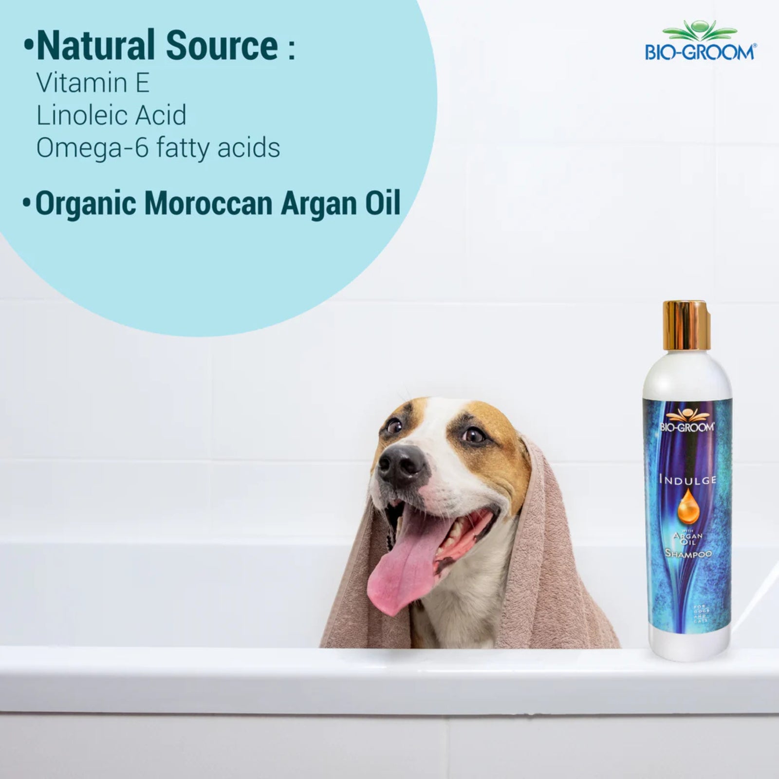Bio-Groom Indulge Sulfate-Free Argan Oil Dog Shampoo- 355 ml product image 4 - Rufftail Pune