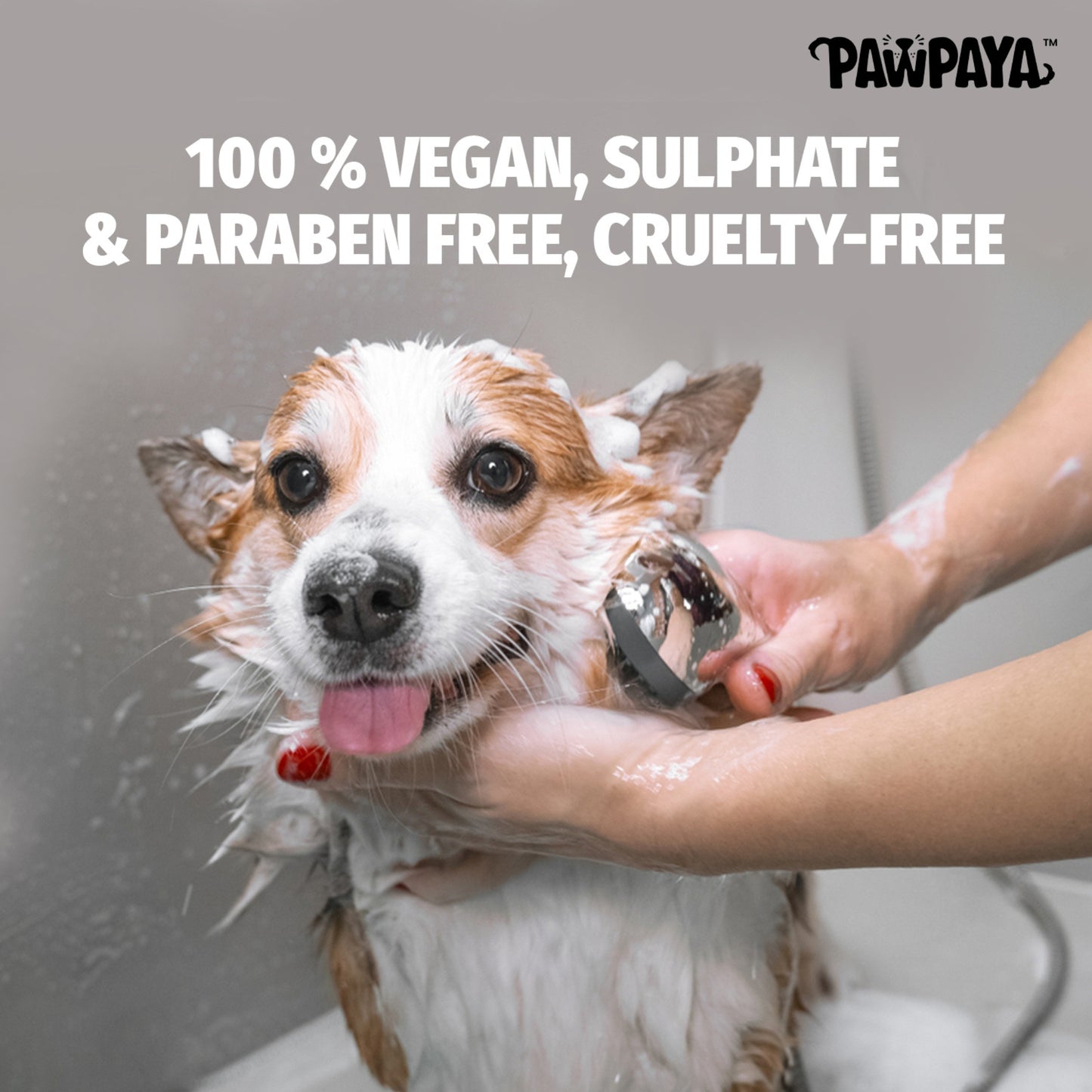 Pawpaya Long Coat Shampoo - 250 ml - Rufftail