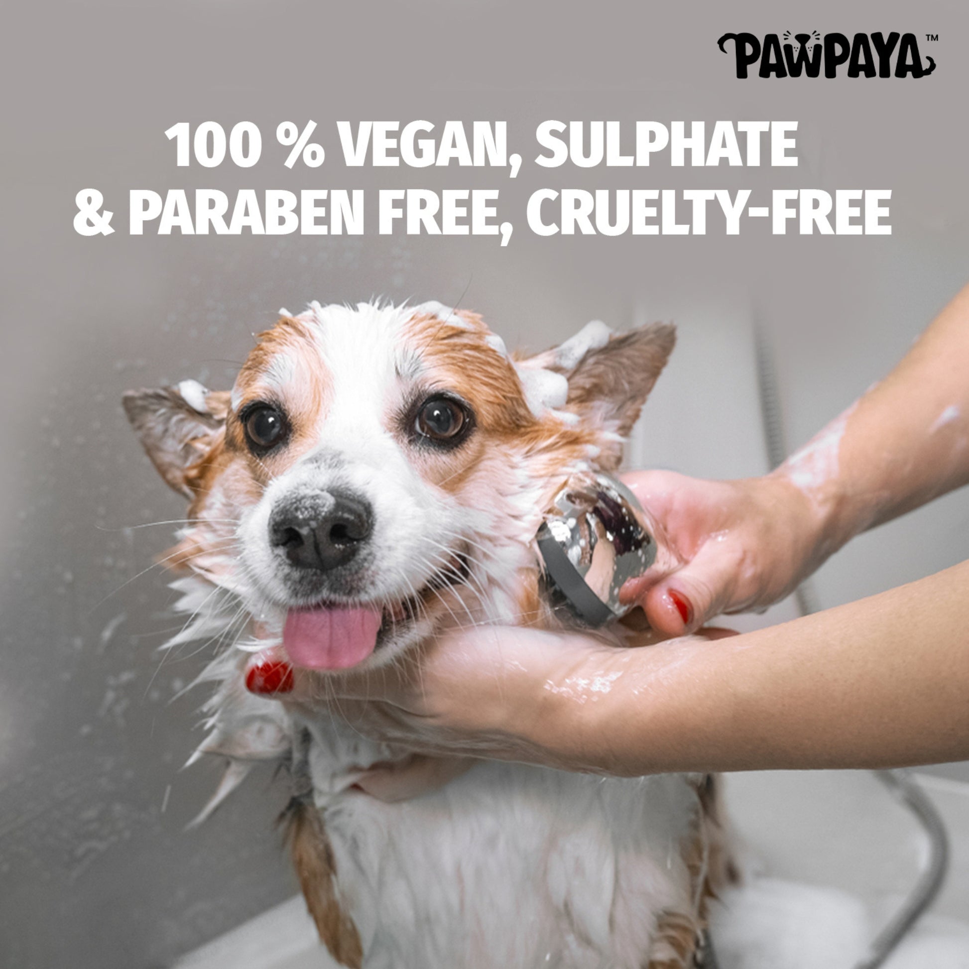 Pawpaya Long Coat Shampoo - 250 ml - Rufftail
