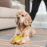 SQUEEEZYS Monster Brother – Squeaky Latex Toy for Medium Dogs (0–20kgs) – Yellow