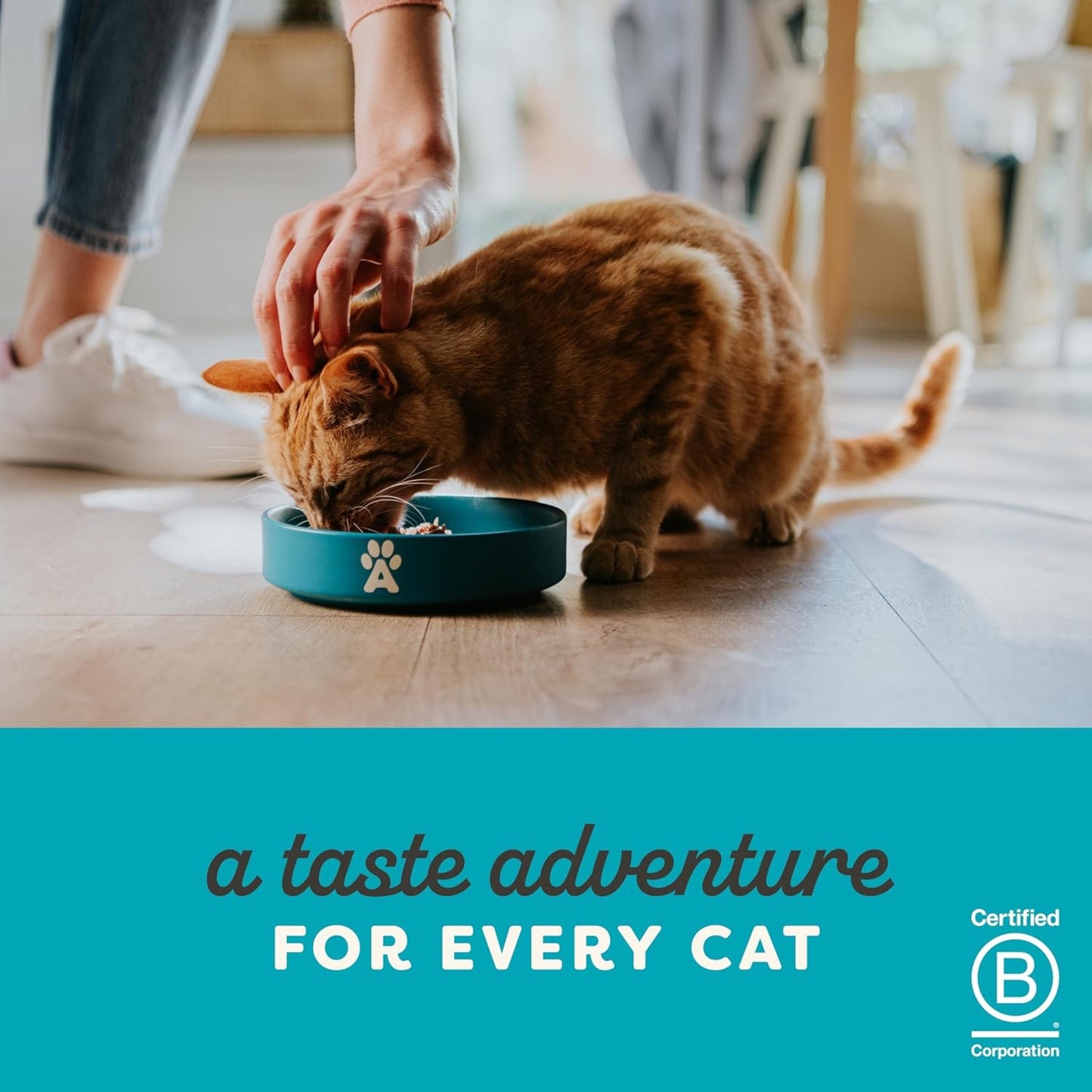 Applaws Tuna Whole Meat with Mackerel in Tasty Jelly Wet Cat Food 70g Pouch - Rufftail