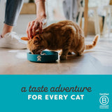 Applaws Tuna Whole Meat with Mackerel in Tasty Jelly Wet Cat Food 70g Pouch - Rufftail