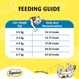 Temptations Crunchy Cat Treats- Tempting Tuna Flavour (85g) product image 7 - Rufftail Pune